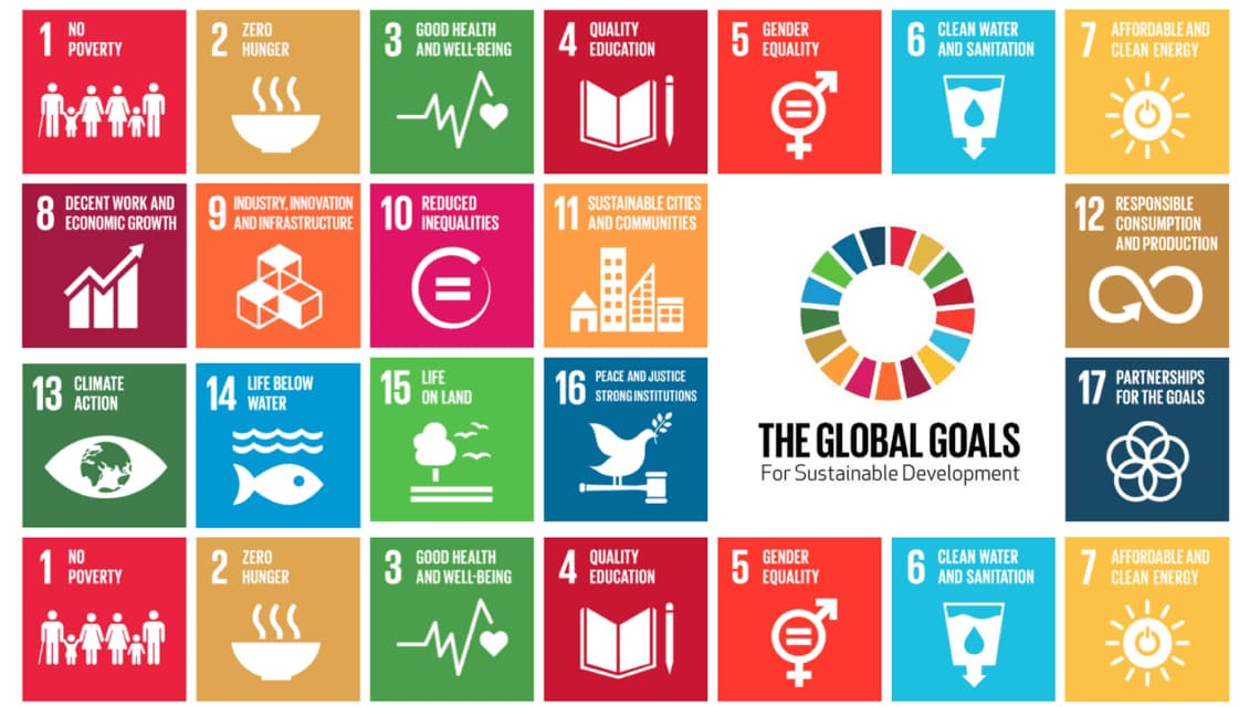 What are the Sustainable Development Goals and why does SCU work to support them?